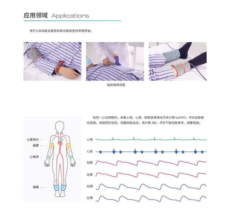 动脉硬化检测仪KAS6800